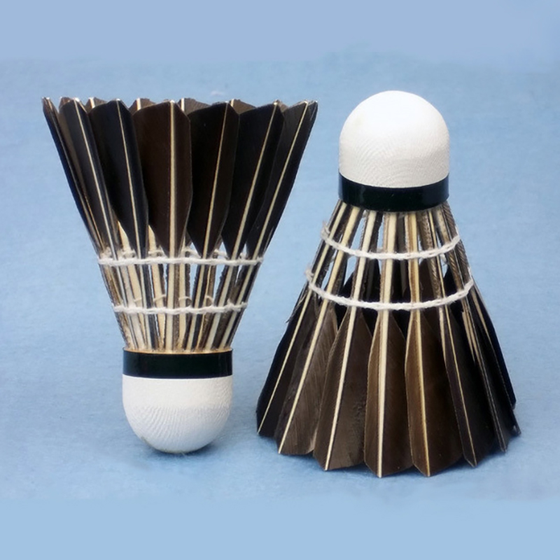 ريشة بدمنتون احترافية جديدة من - مراجعة Badminton Xxl وسعره